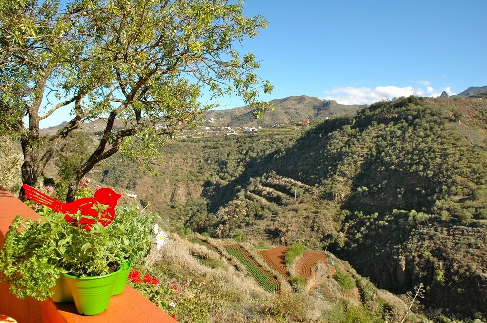 Romantic Villa With Private Pool for Couples in Gran Canaria