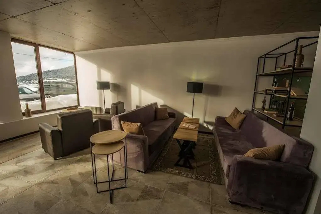 Bakuriani Terrace 8