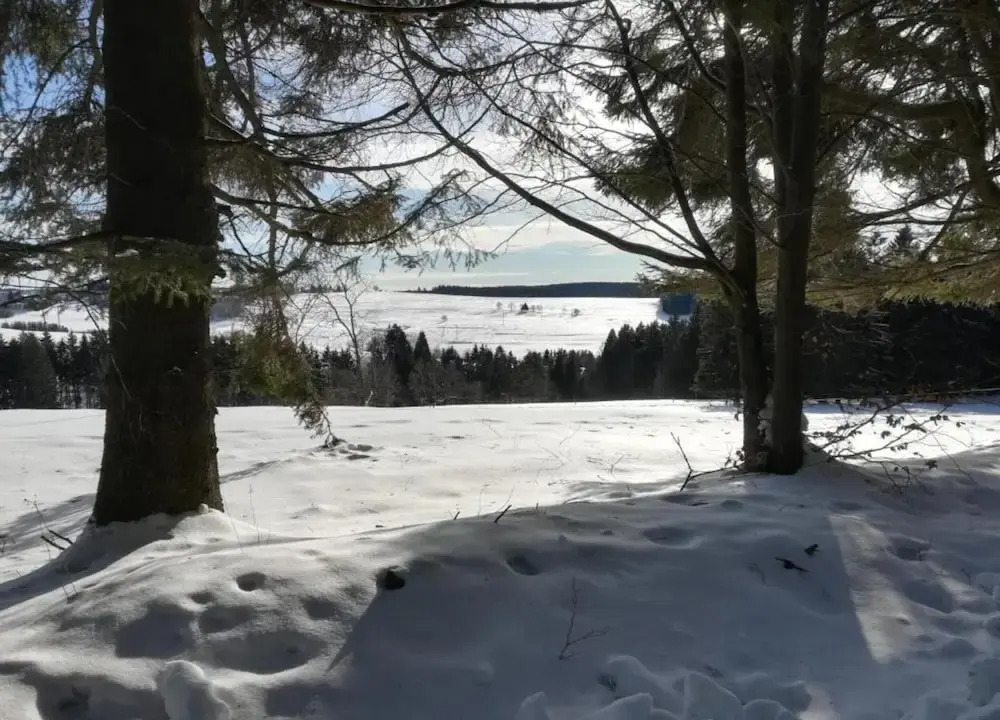 Forest Retreat with Garden