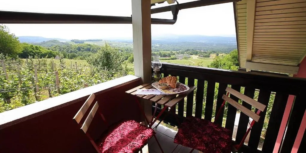 Vineyard cottage Slanc