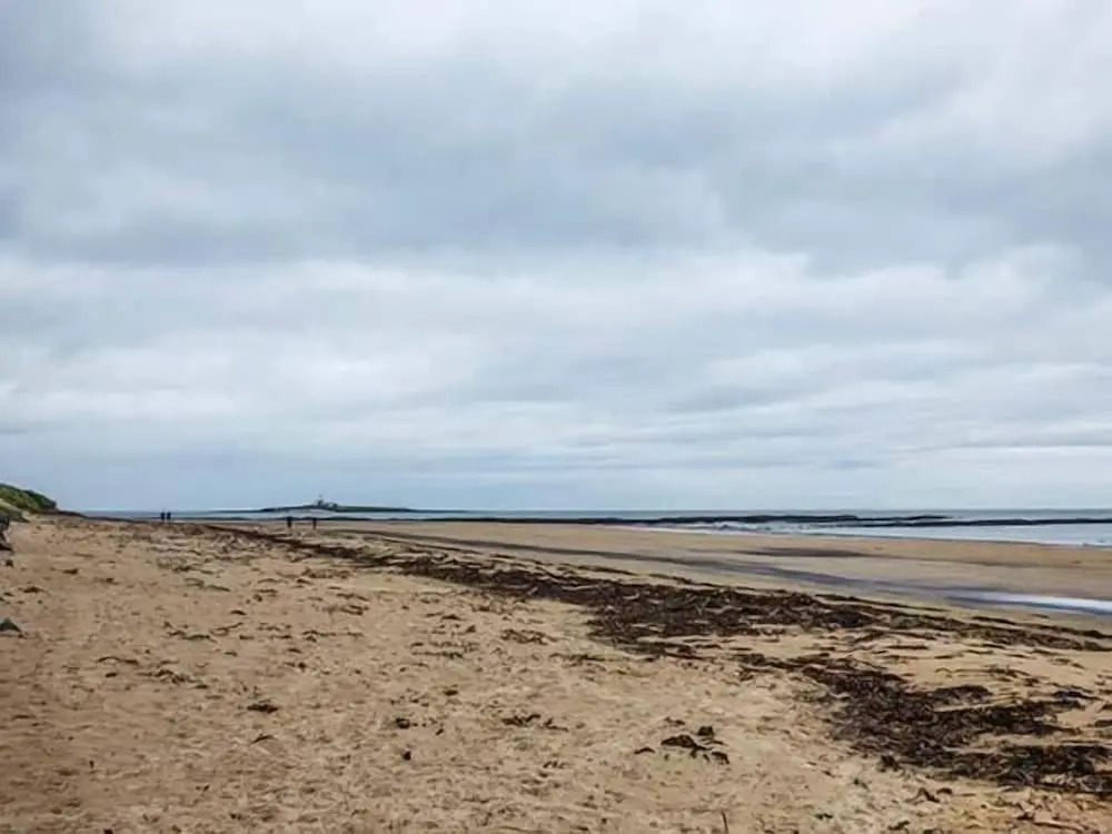 Sandy Knowes