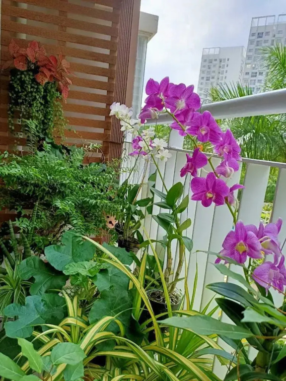 Modern Apartment in Scenic Valley Phu My Hung D7