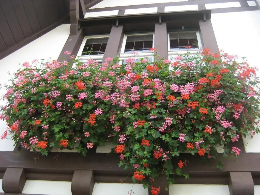Boutique Hotel Waldhaus beider Basel