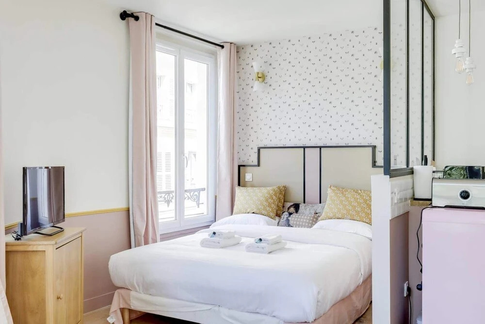 Beautiful Pink Studio For 2 in Heart of Vanves