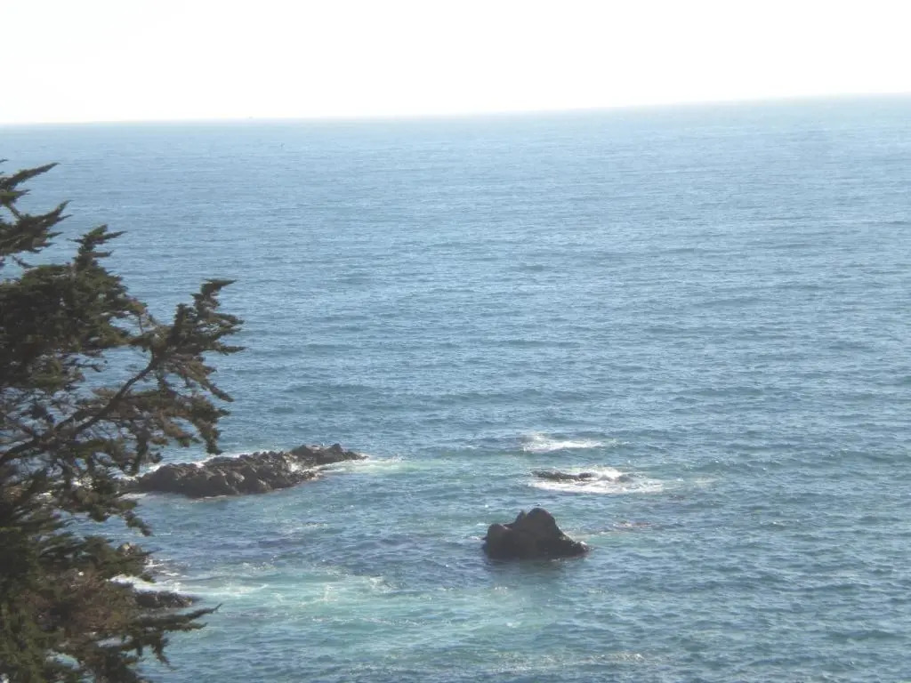 Pacific Blue