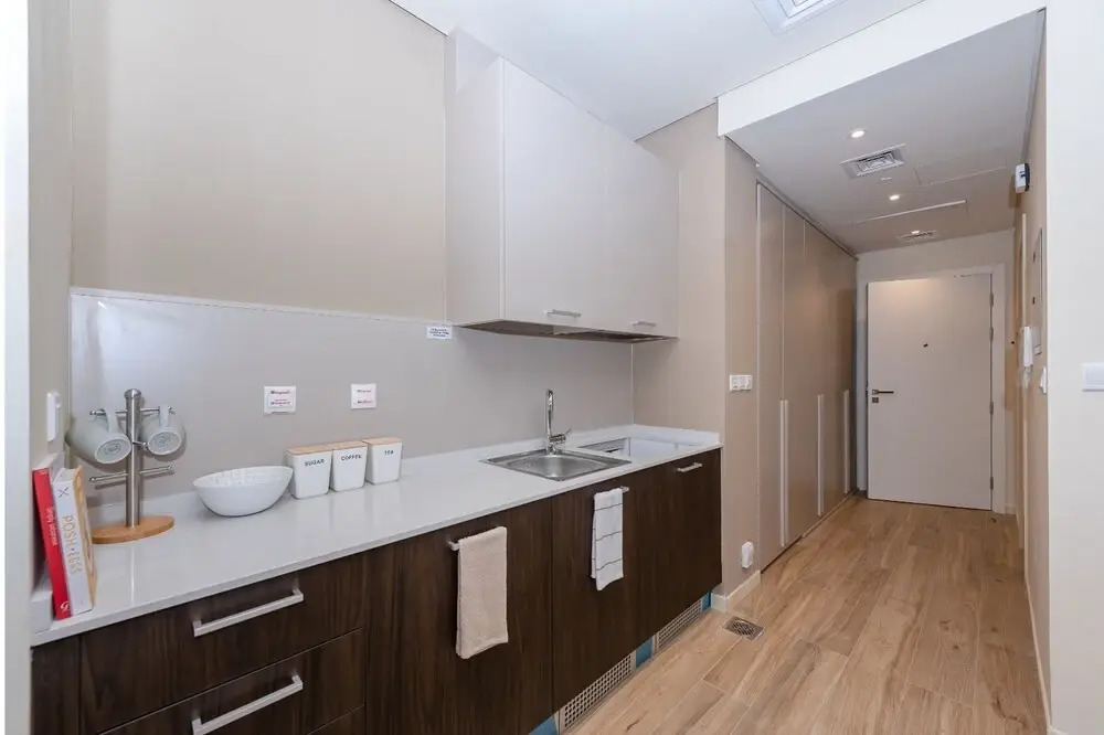 Park View Spacious Studio Dubai