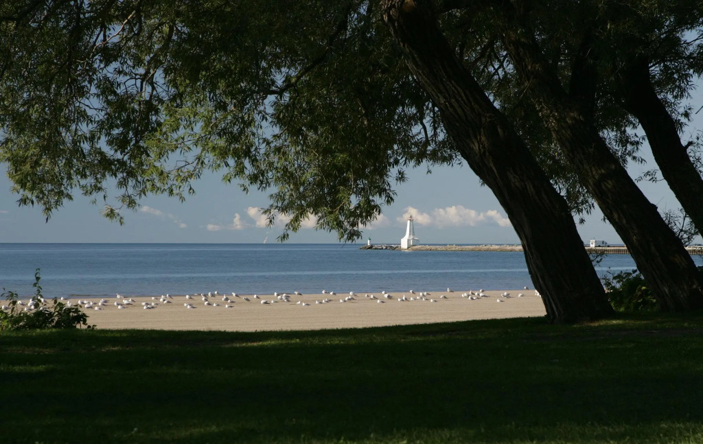 Comfort Inn Cobourg - Port Hope