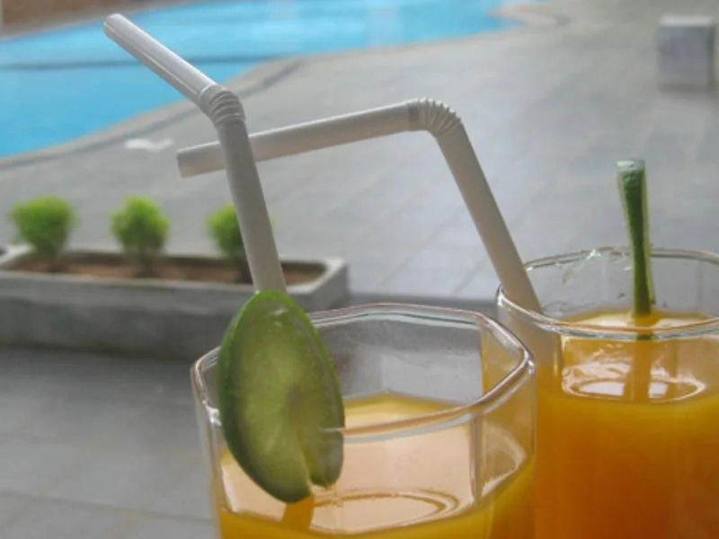 Elephant Safari Hotel
