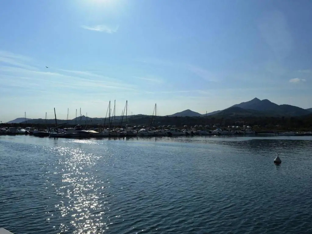 Appartement Argelès-sur-Mer, 1 pièce, 4 personnes - FR-1-225-116