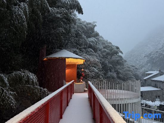 Looking at the Mountains - Mountain and Wildstream Homestay