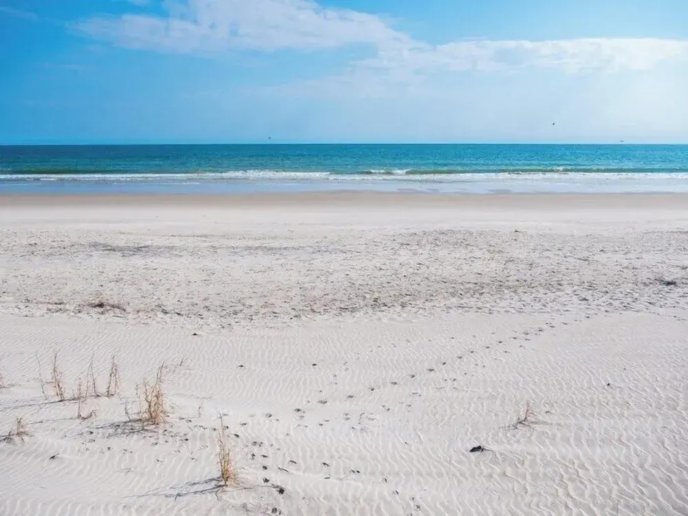 Tournesol by Topsail Realty