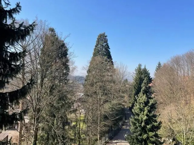 Urlaub im Schwarzwald! GHP440