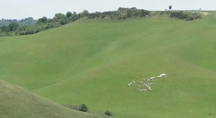 Il pollice verde