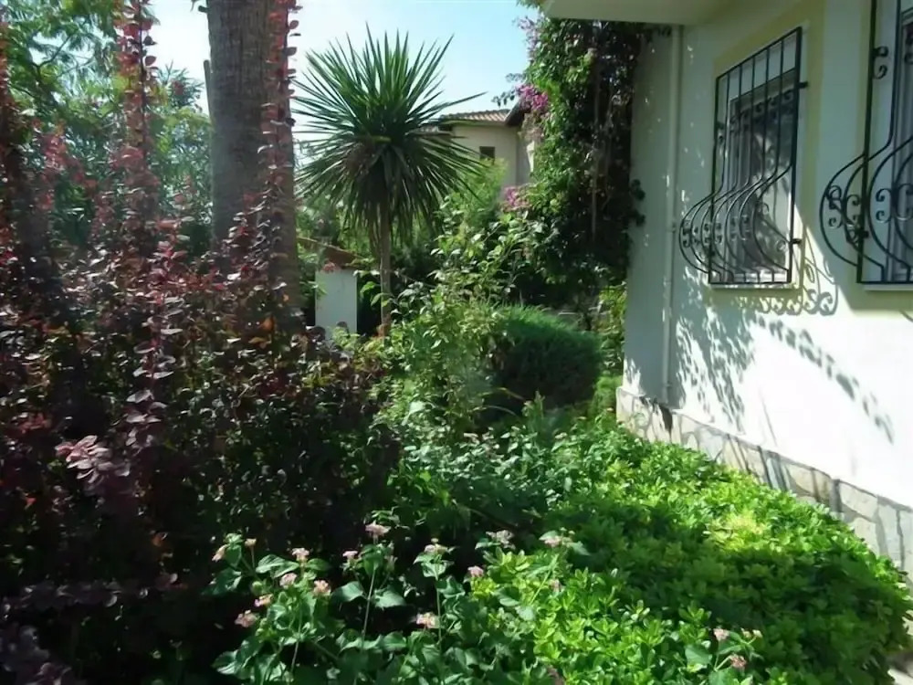 Villa Mehsan