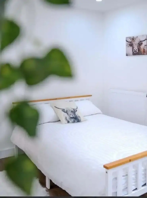 Modern Comforts 4 Bedroom Home for Work & Play