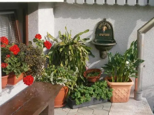 Apartment Žvan