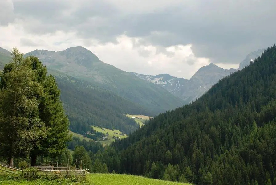 Chalet Sunnäschyn