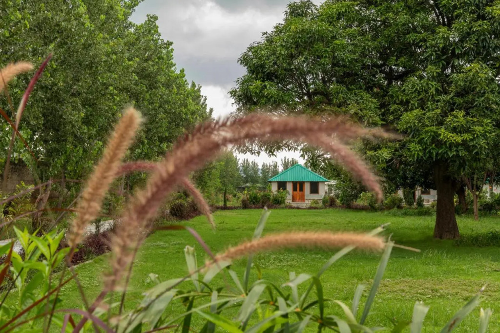 Ranthambore Villa