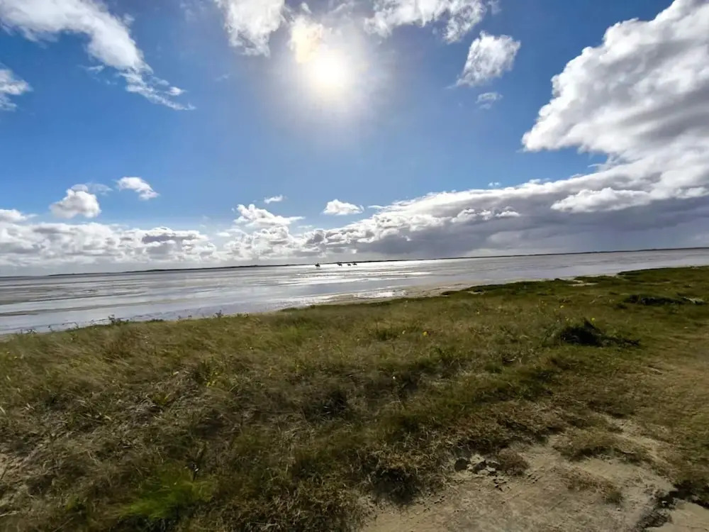 Spacious Holiday Home in Jutland near Beach