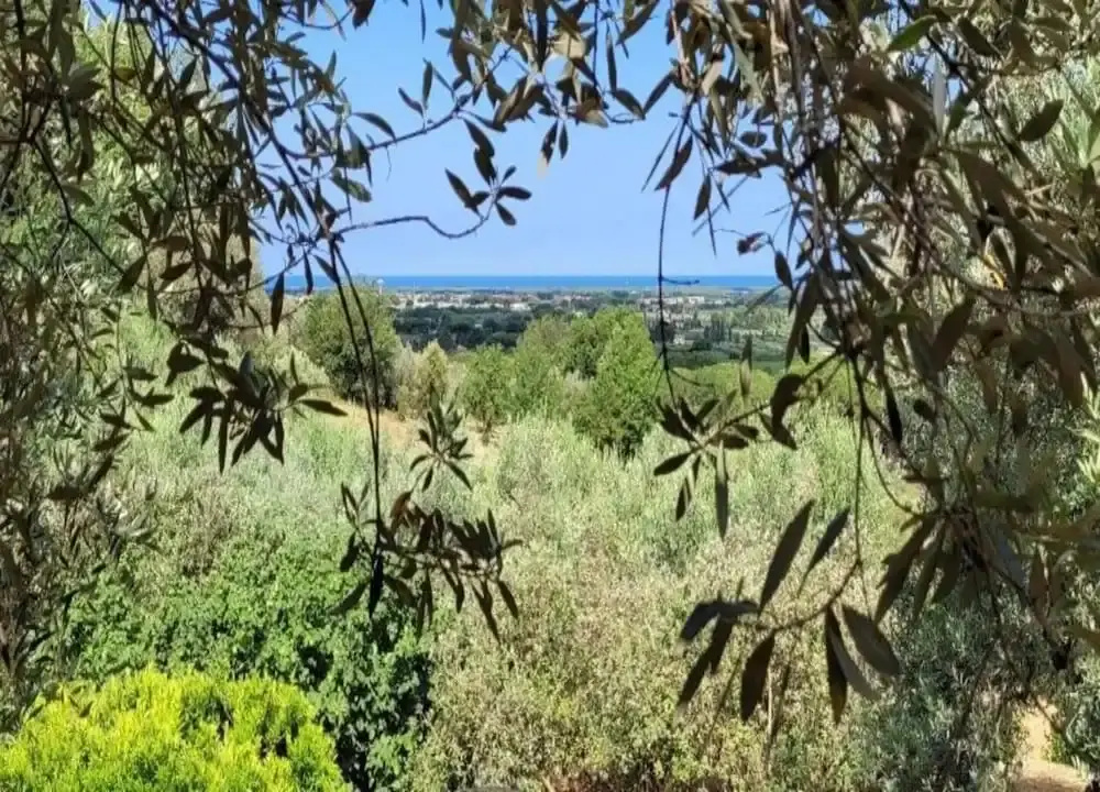 Holiday Home in Castagneto Near the Beach