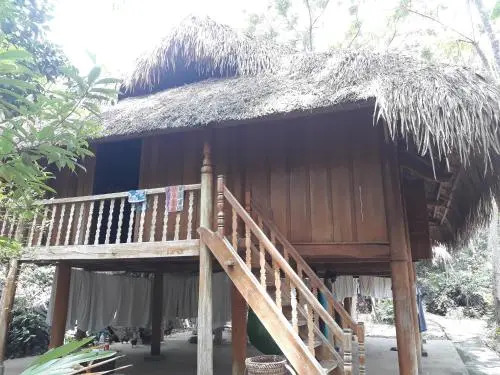 Quyets Jungle House