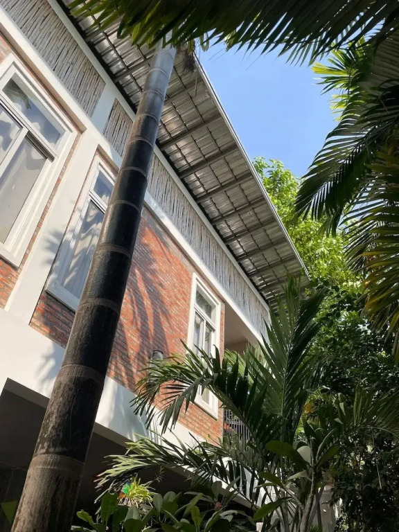 Treetop Bungalows