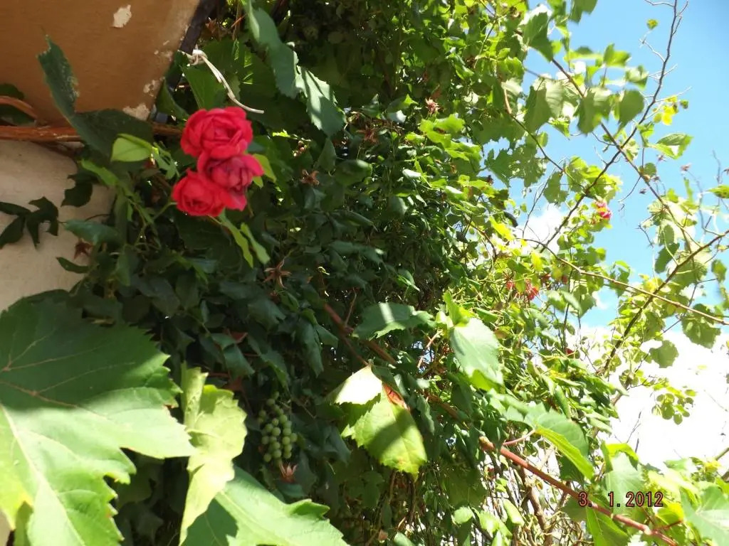 B&B Sòl Fiorì