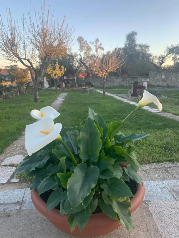 Villa Entre Encinas