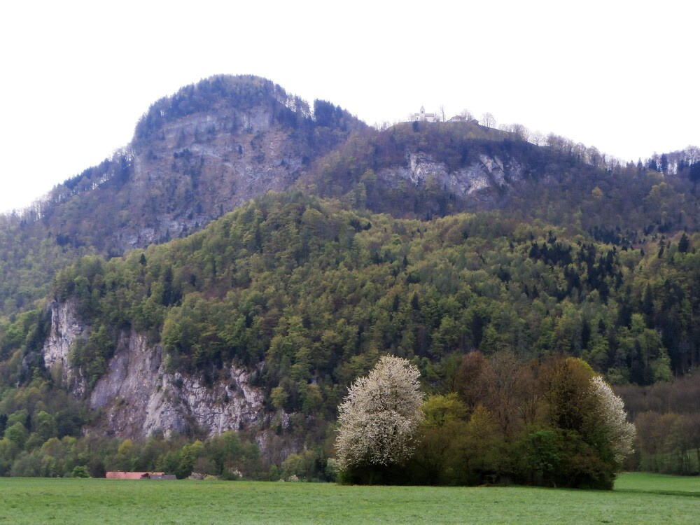 Gasthof Falkenstein - Metzgerei Schwaiger