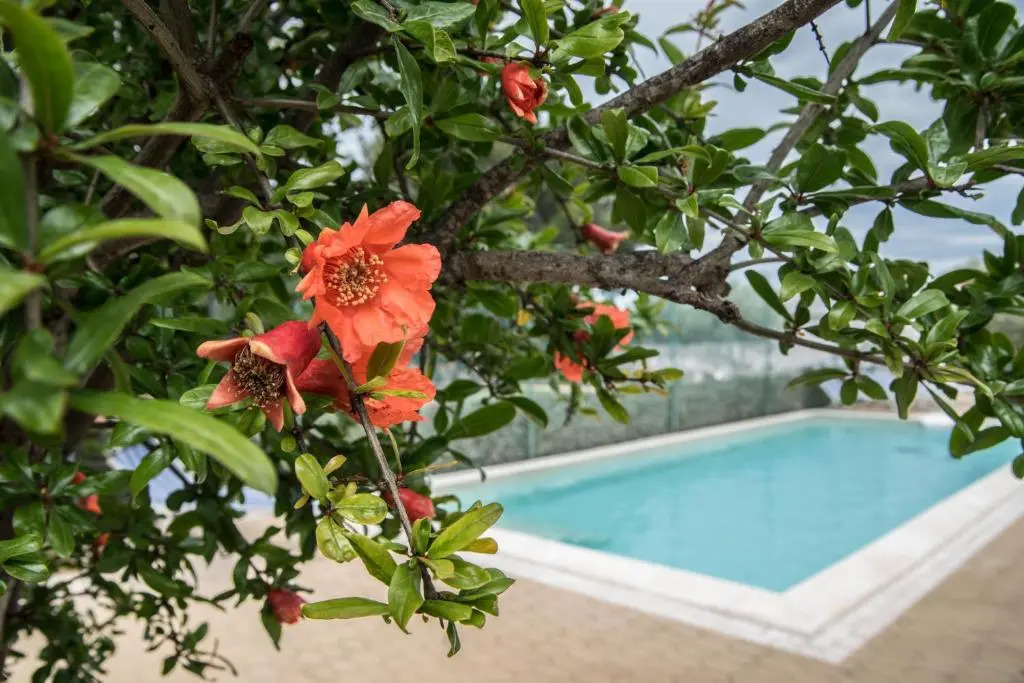 Villa Lara