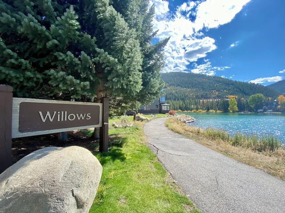 Willows 1703