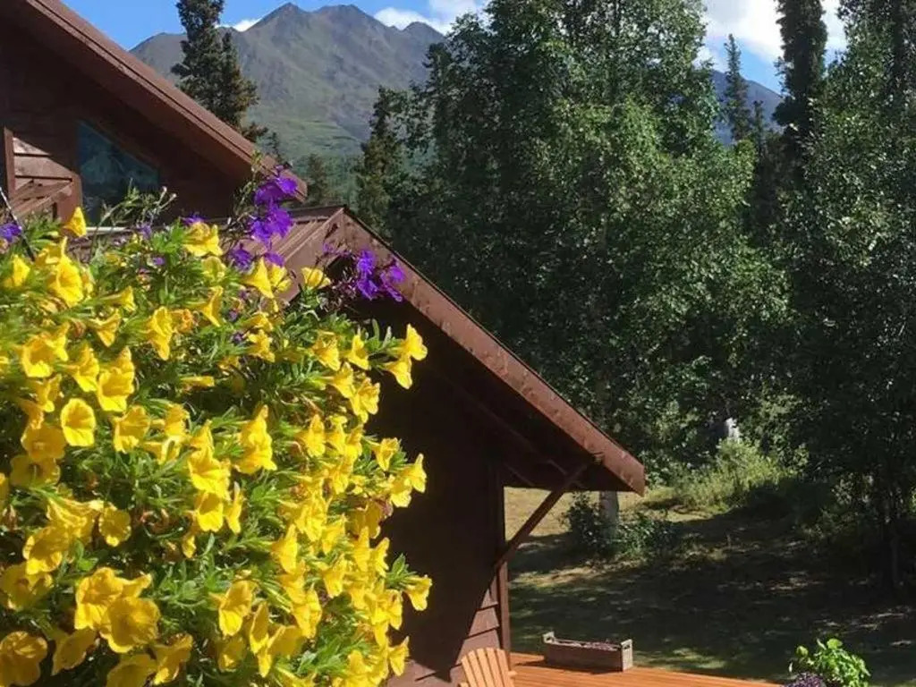McKinley Creekside Cabins