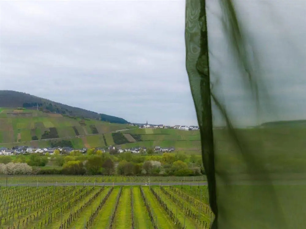 Weingut Tiliahof