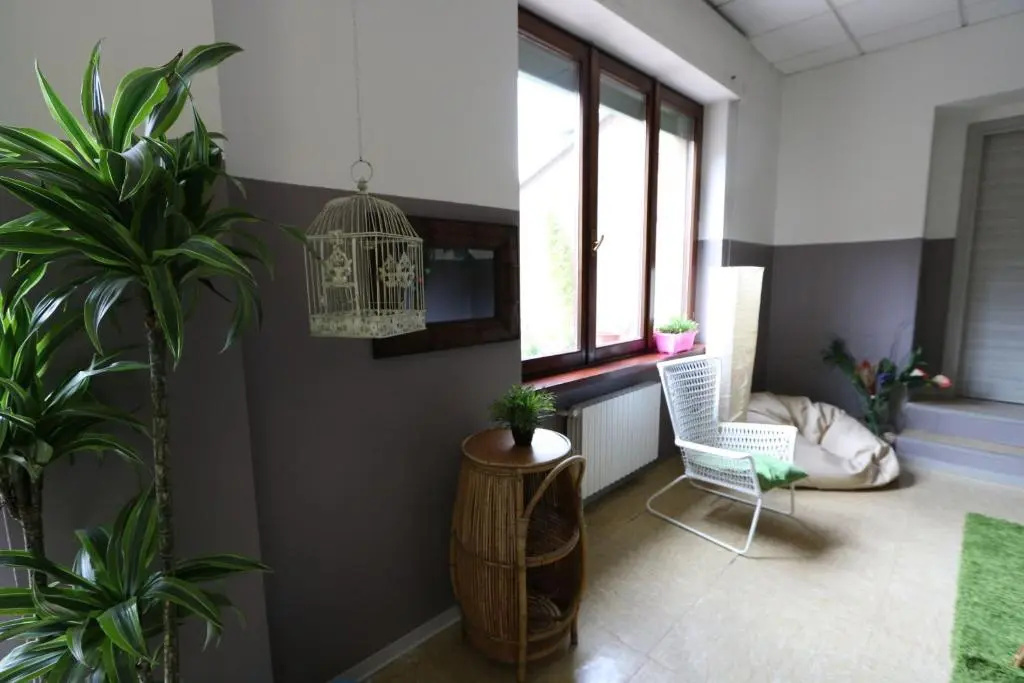 Panda Hostel