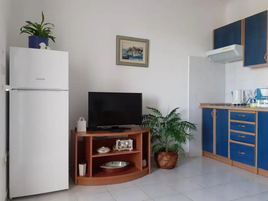 Apartments Borovina
