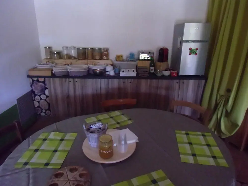 Agriturismo il Podere Vedelago con San Bernardo, Alpaca e una Pentola di cose da scoprire