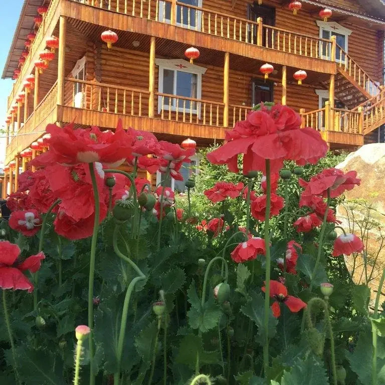 Russia Camp Resort