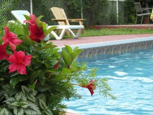 Auberge Le Flores