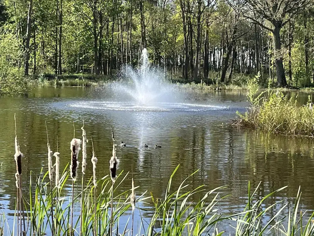Rowan Boutique Lodge for couples with a dog