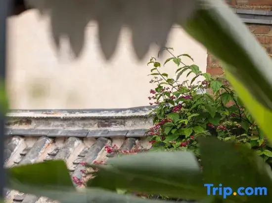 Xiyuan Homestay (Weishan Ancient City)