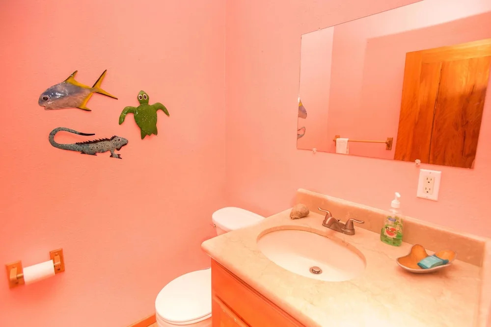 Turtle Casa 6