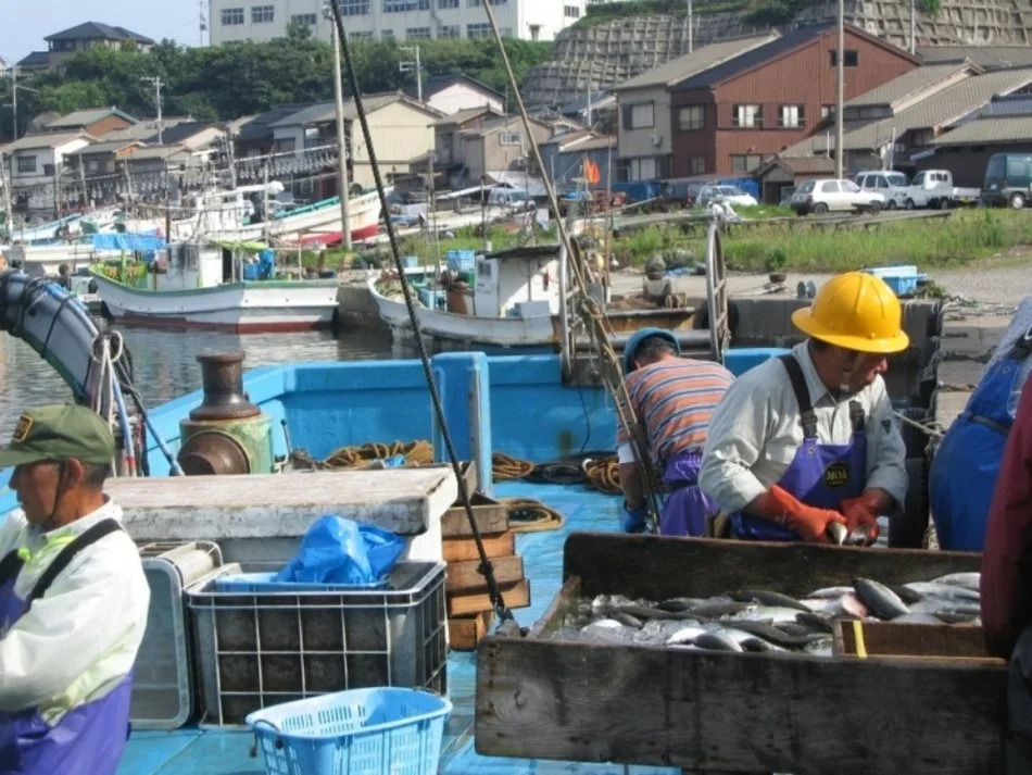 Shikishimaso