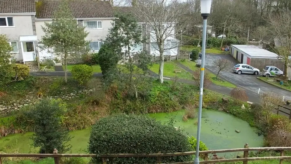Merlins Gardens 5