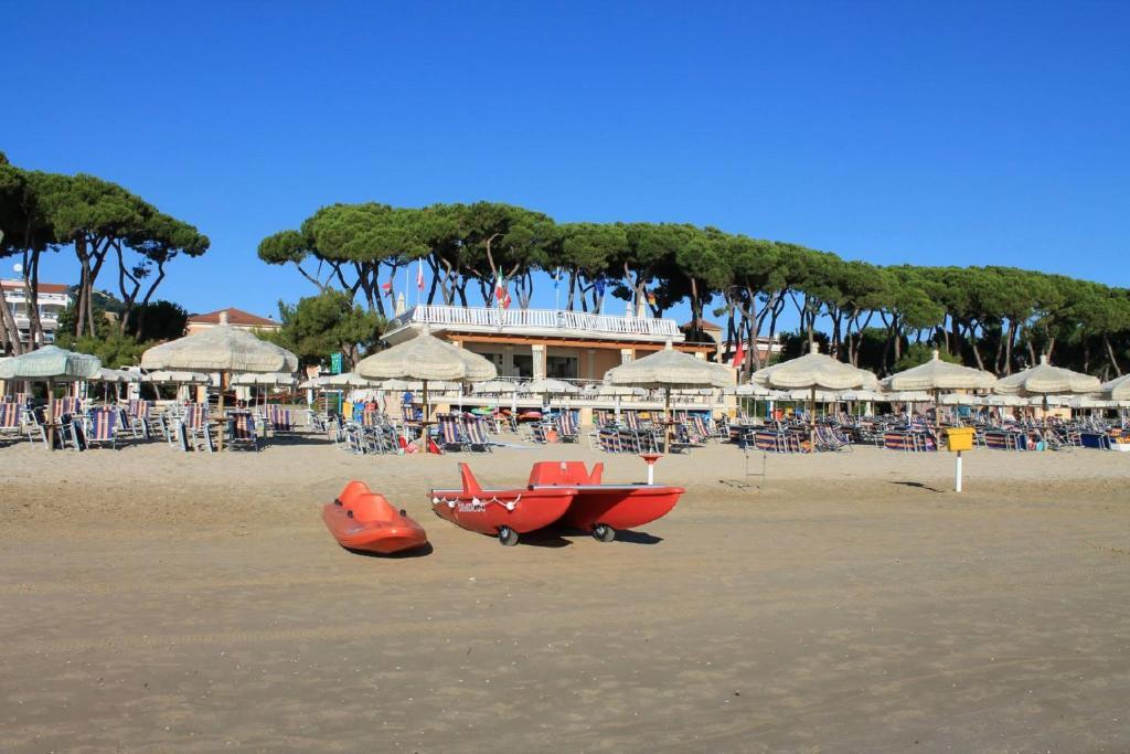 Ficus 2 Pineto Vacanza