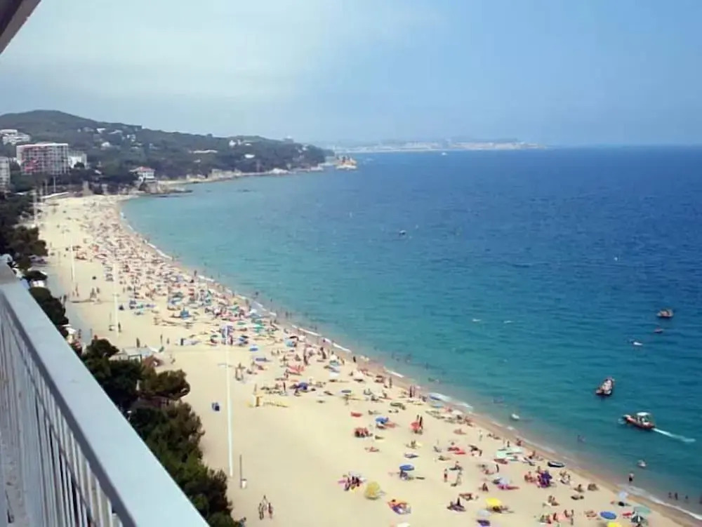Apartamento Elypalace 11-9