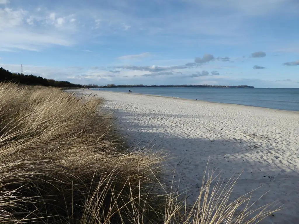 Strandhuhn