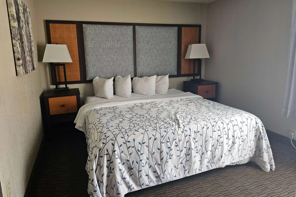 Americinn by Wyndham Birch Run - Frankenmuth