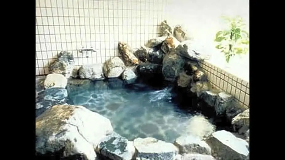 Shinkaifujishoen