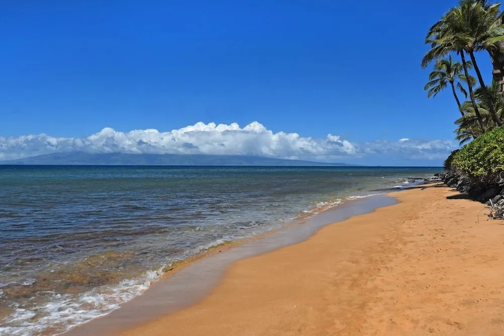 Maui Kai 601 by RedAwning