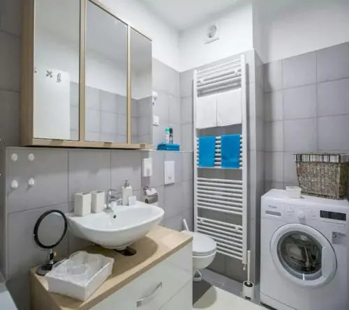 Apartment Ali